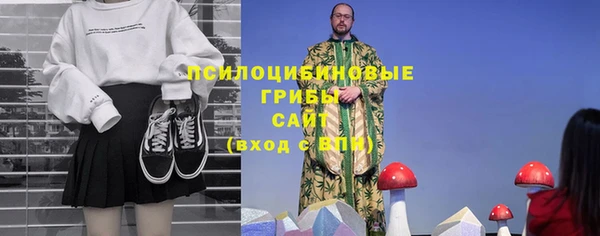 дживик Алзамай
