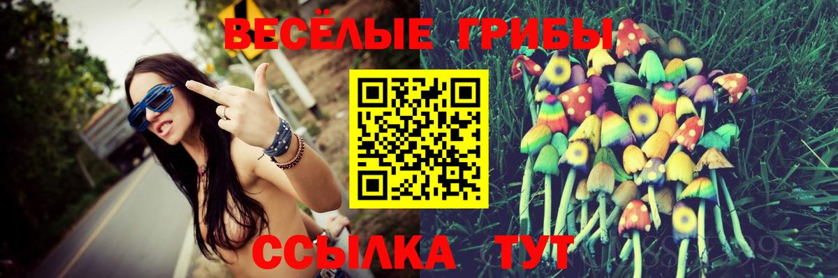 Можга  Псилоцибиновые грибы Psilocybe  Вход с VPN 